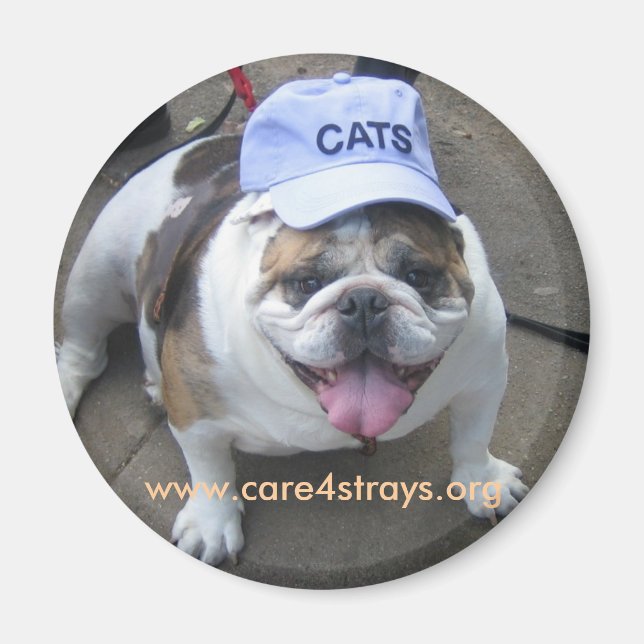 Íman Magneta CATS: (Frente)