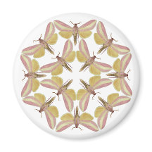 Magneta com belas mariposas