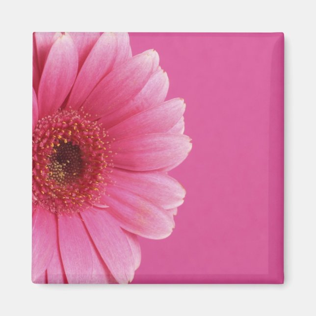 Íman Magneta cor-de-rosa (Frente)