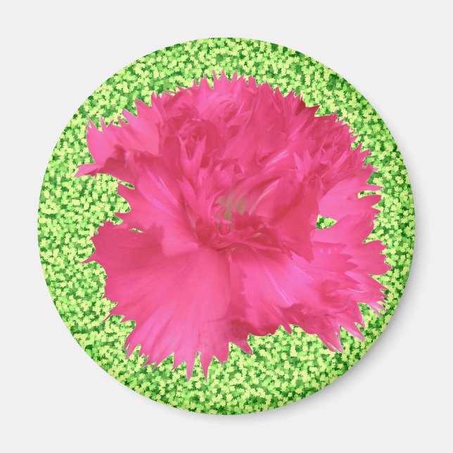 Íman Magneta cor-de-rosa (Frente)