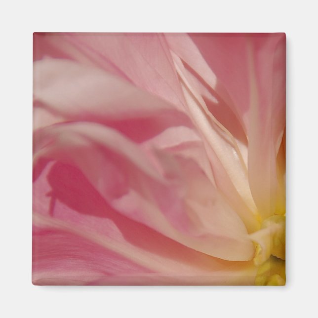 Íman Magneta cor-de-rosa (Frente)