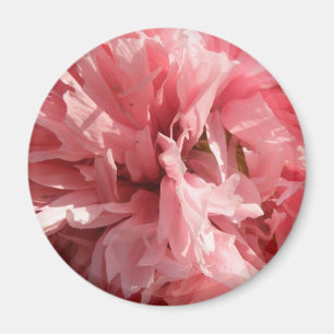 Íman Magneta cor-de-rosa bonito