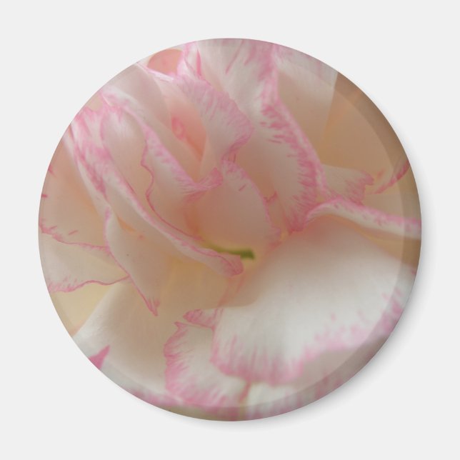 Íman Magneta cor-de-rosa e branca (Frente)