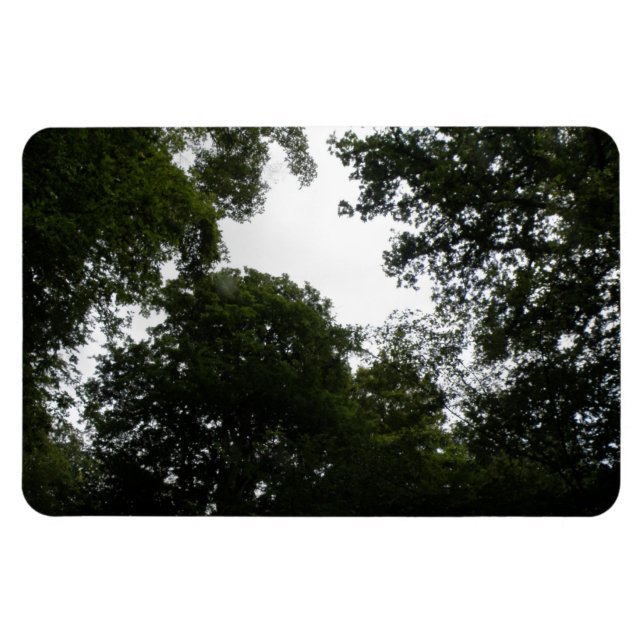 Íman Magneta Creepy Forest Premium (Horizontal)