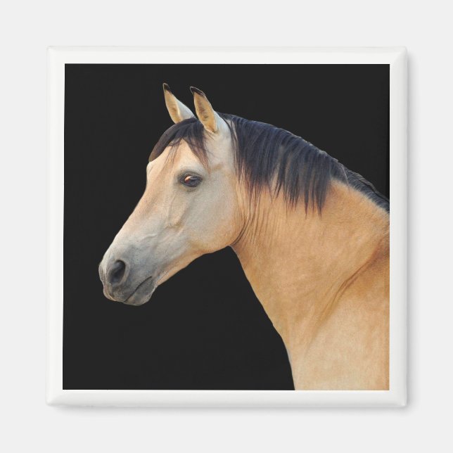 Íman Magneta da Cabeça de Cavalo (Frente)