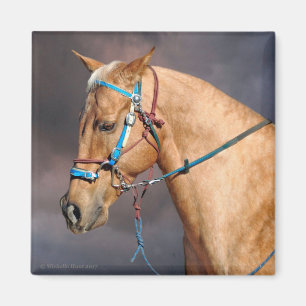 Íman Magneta da Cabeça de Cavalo