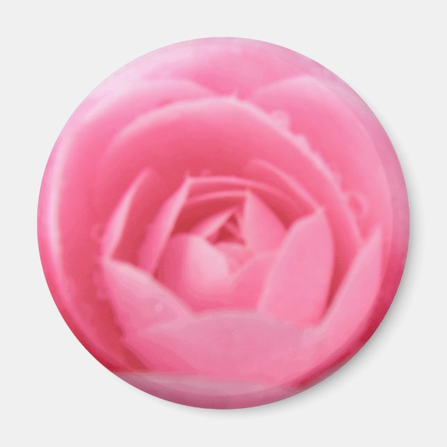 Íman Magneta da Flor bonito Rosa Camellia (Frente)