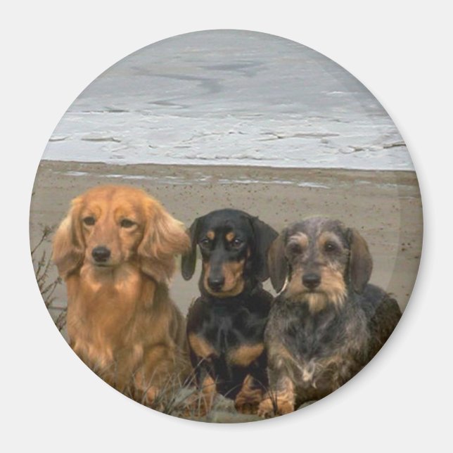 Íman Magneta Dachshances Na Praia (Frente)