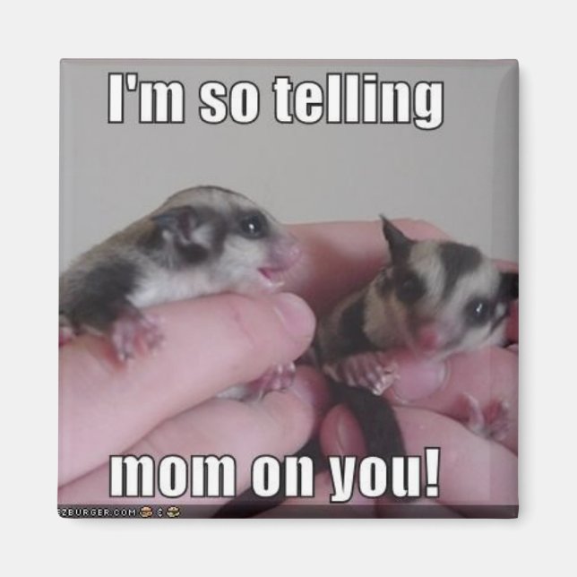 Íman magneta de açúcar (Frente)