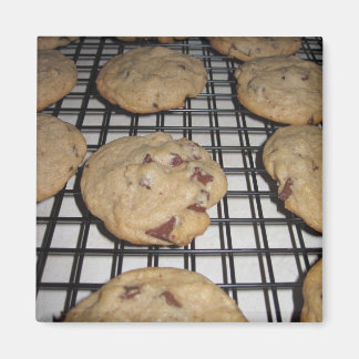 Íman Magneta de açúcar