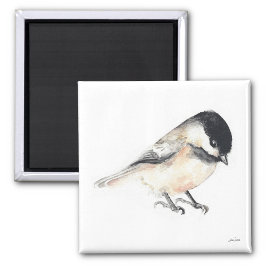 Íman Magneta de Aquarela Chickadee