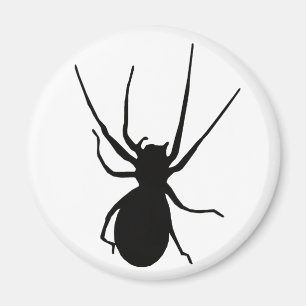 Íman Magneta de aranha assustadora preta
