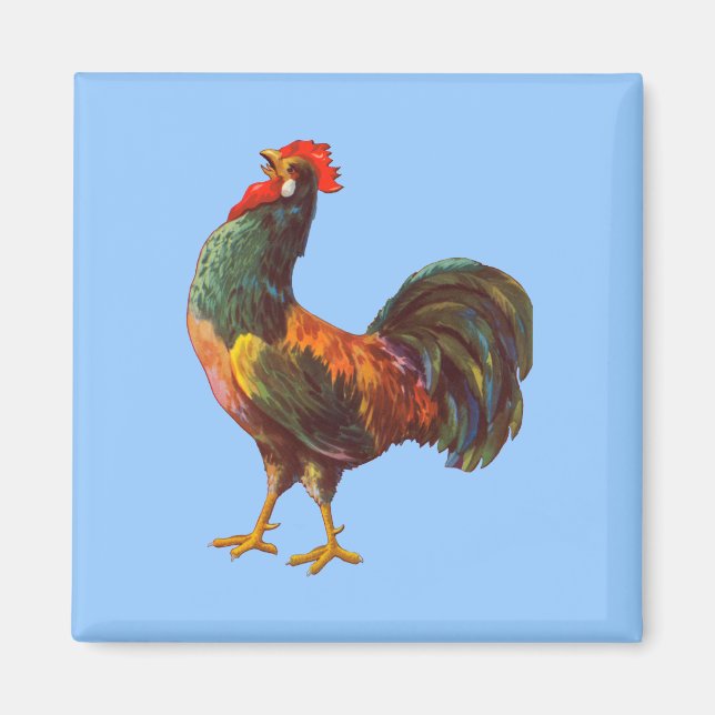 Íman Magneta de arte da Galinha Vintage (Frente)