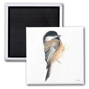 Íman Magneta de Arte de Aquarela Chickadee