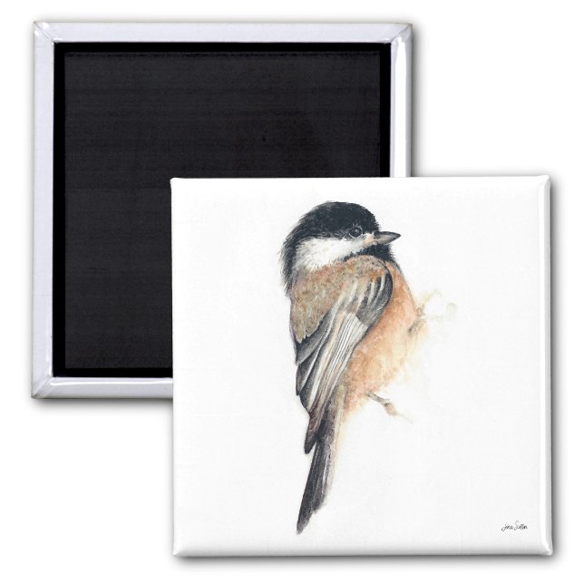 Íman Magneta de Arte de Aquarela Chickadee (Chickadee Watercolor Art Magnet from Jenn's Emporium. )