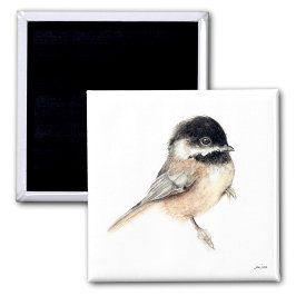 Íman Magneta de Arte de Aquarela Chickadee