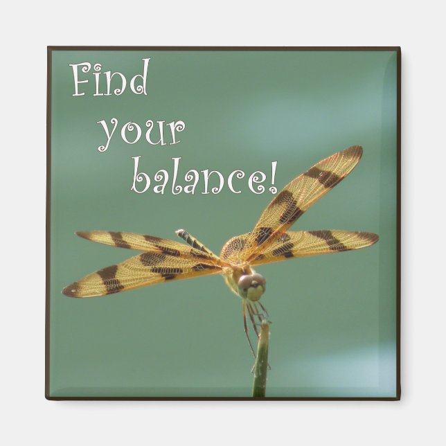 Íman Magneta de Balanceamento de Dragonfly (Frente)