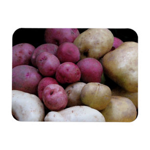 Íman Magneta de batata