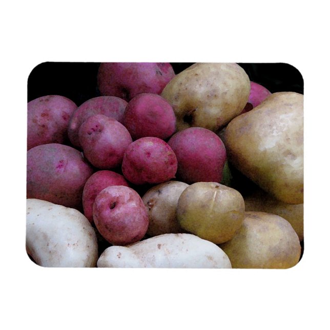 Íman Magneta de batata (Horizontal)