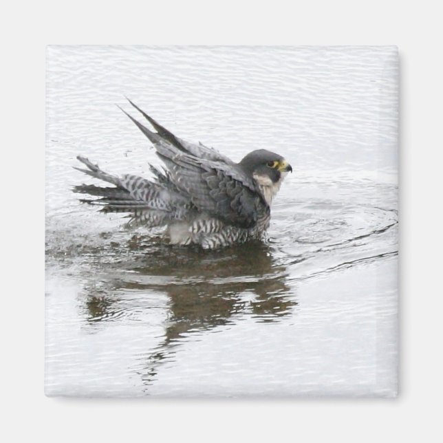 Íman Magneta de Beleza Banheira (Frente)