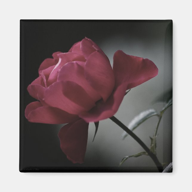 Íman Magneta de beleza do amor (Frente)