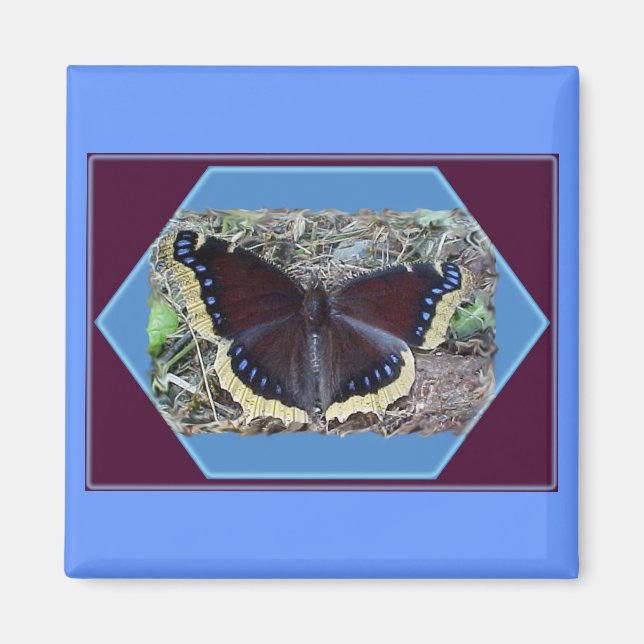 Íman Magneta de Borboleta de Cloak (Frente)