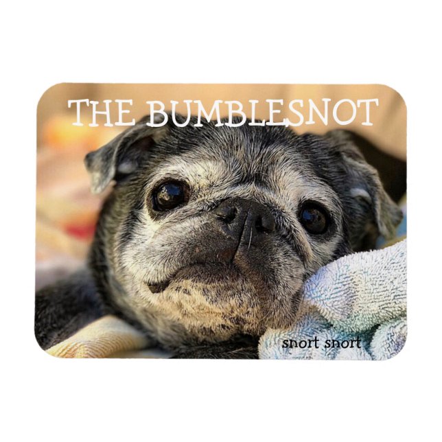 Íman Magneta de Bumblesnot: snort (Horizontal)