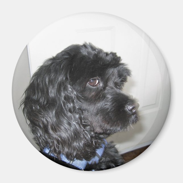 Íman Magneta de Cachorro Adorável (Frente)