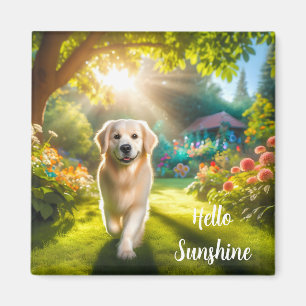 Íman Magneta de cães