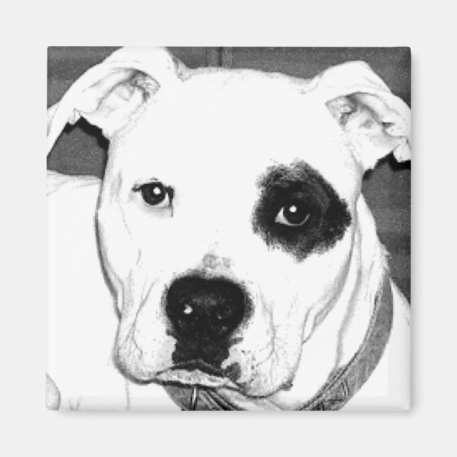 Íman Magneta de cães (Frente)