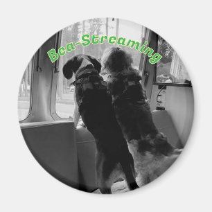 Íman Magneta de cães Bea Streaming