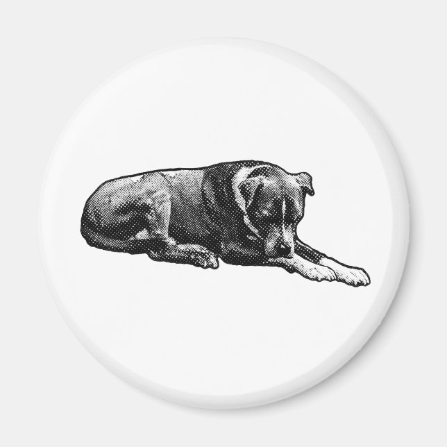 Íman Magneta de cães de observação retrorreflectora (Frente)