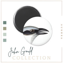 Magneta de camarão negro