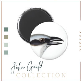 Íman Magneta de camarão negro