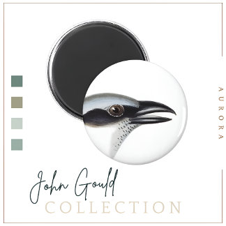 Íman Magneta de camarão negro