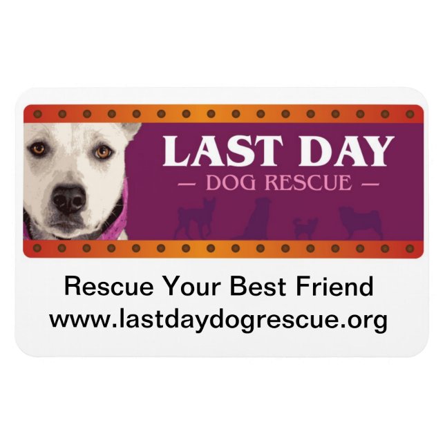 Íman Magneta de carro LDDR (Horizontal)