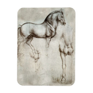 Íman Magneta De Cavalo Da Vinci