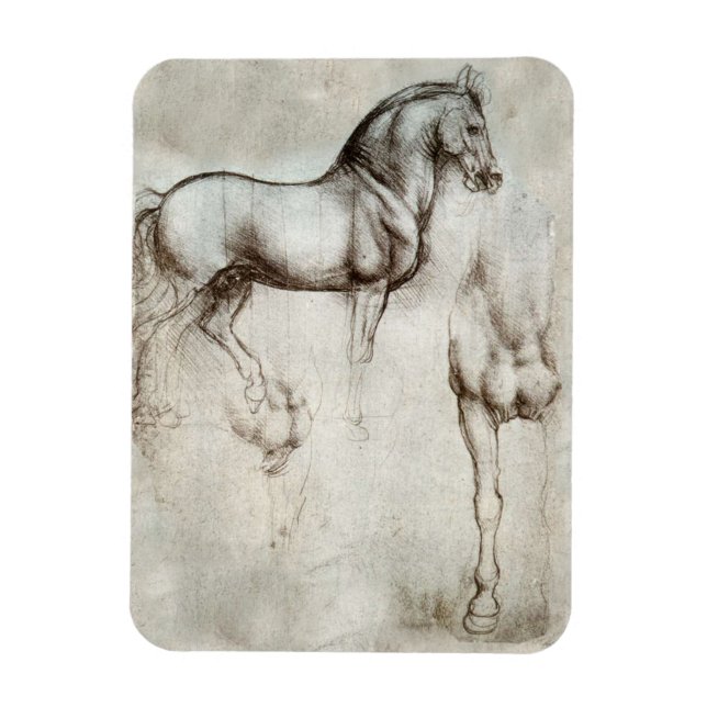Íman Magneta De Cavalo Da Vinci (Vertical)