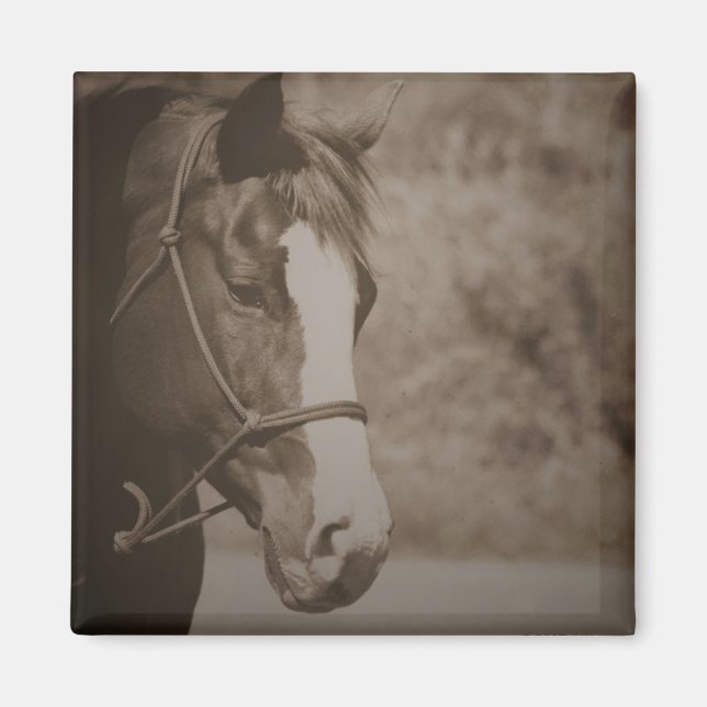 Íman Magneta de Cavalo Vintage (Frente)