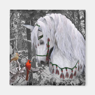 Íman Magneta de Cavalos e Cardeais de Natal
