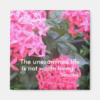 Íman Magneta de Cotação Motivacional Sócrates