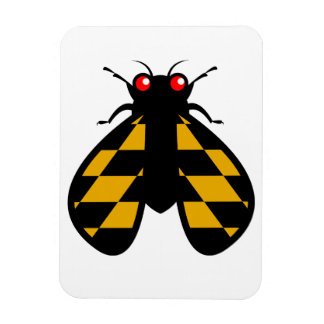 Íman Magneta de Despertar Brocas