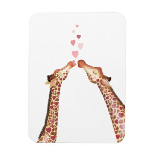 Íman Magneta de Dia de os namorados de girafas para bei