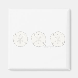 Íman Magneta de dólares de areia