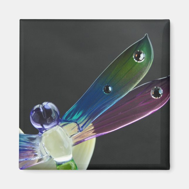 Íman Magneta de Dragonfly (Frente)