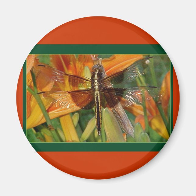 Íman Magneta de Dragonfly amarela (Frente)