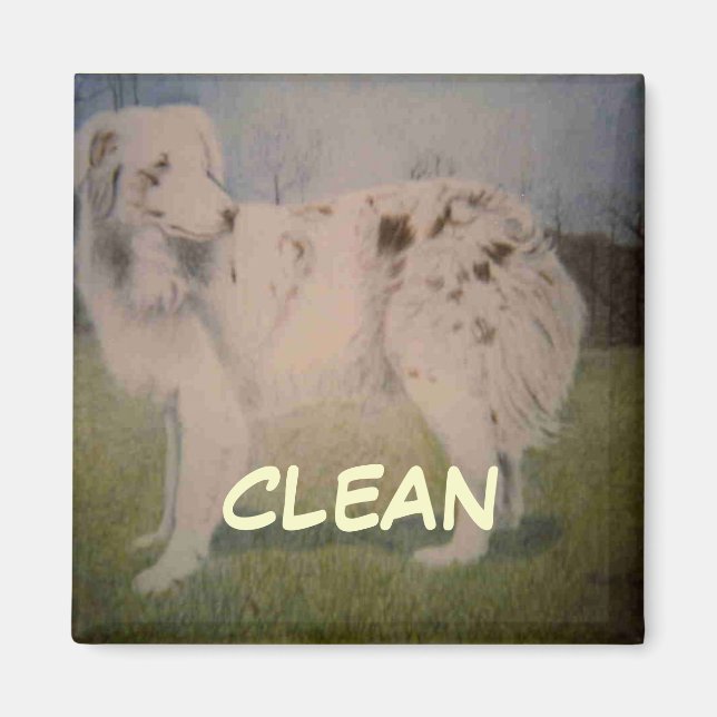 Íman Magneta De Estado Do Dish Washer (Frente)