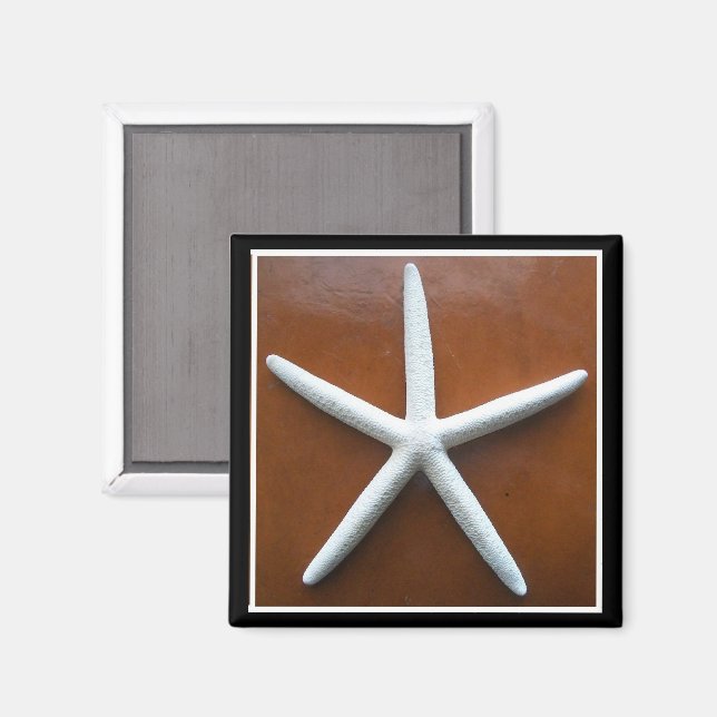 Íman Magneta de estrela do mar (Front/Back)