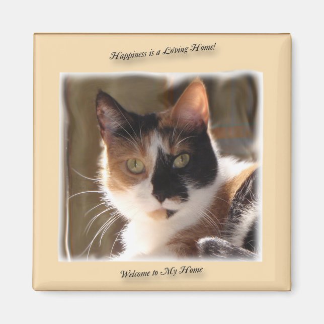 Íman Magneta de Felicidade para Gatos de Bomba (Frente)