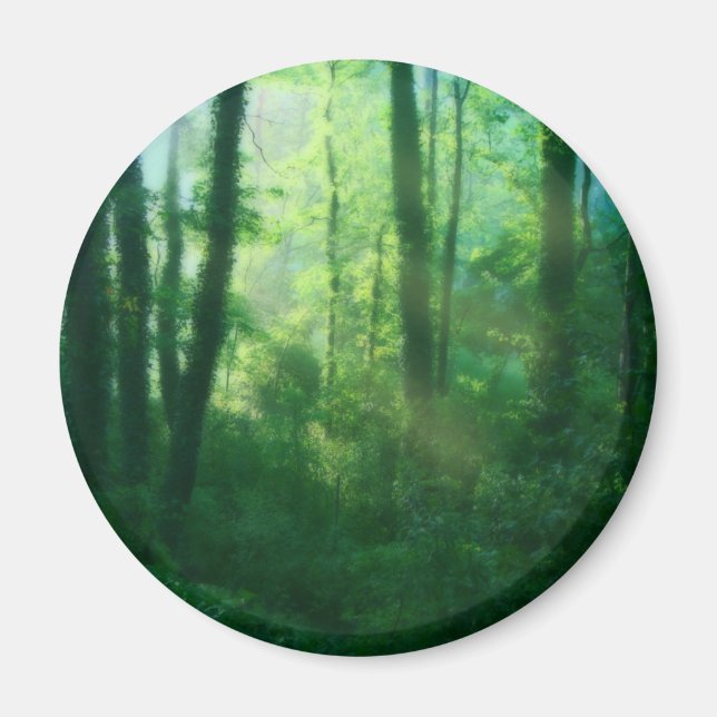 Íman Magneta de fertilidade (Frente)